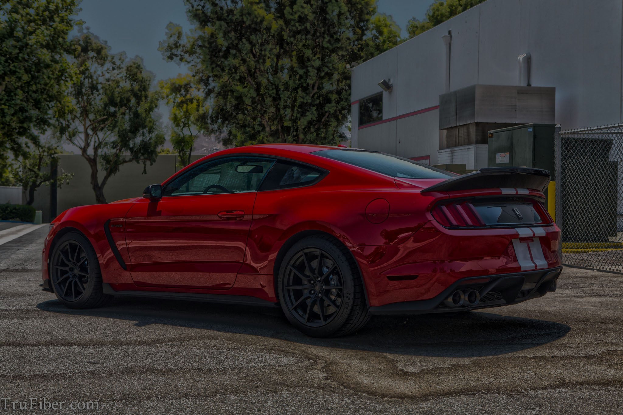 2015-2023 Mustang Carbon Fiber Exterior –