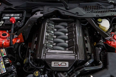 2015-2017 Mustang 5.0 Carbon Fiber LG220 Engine Cover