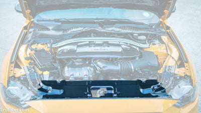2018-2023 Mustang Carbon Fiber LG370 Radiator Cover