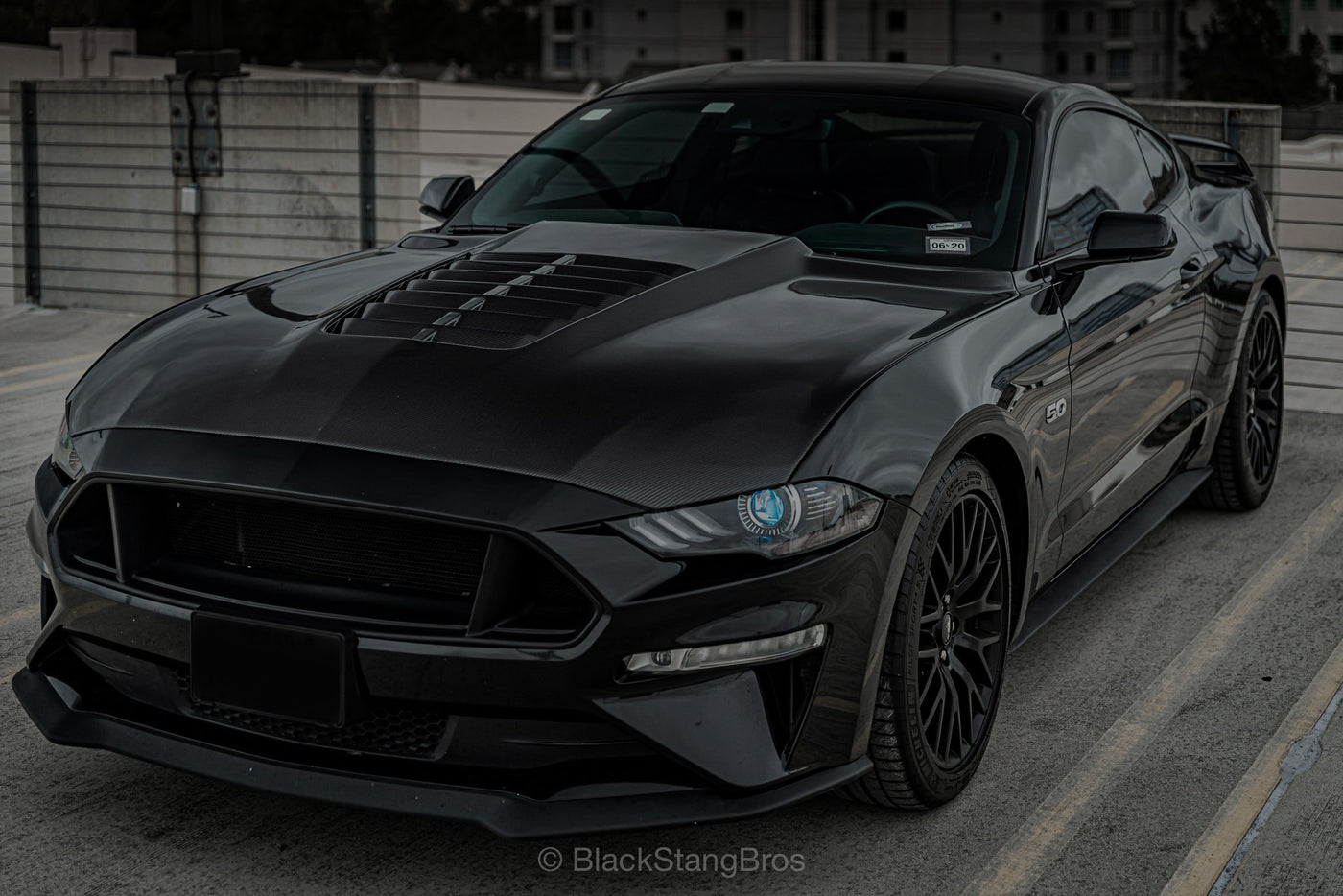 2015-2023 Mustang Carbon Fiber Hoods & Fiberglass Hoods –