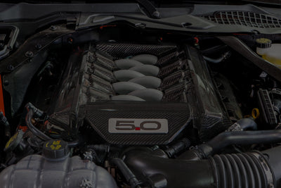 2015-2023 Mustang Carbon Fiber Engine Dress-up