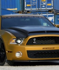 2010-2014 Mustang Carbon Fiber Hoods & Fiberglass Hoods TRUFIBER.COM