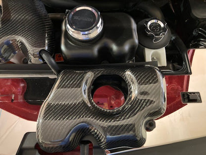 2007-2014 Mustang Carbon Fiber LG499 Intercooler Tank Cover - view 3