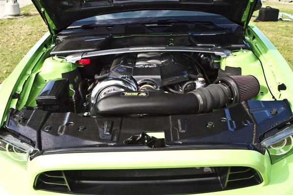 2013-2014 Mustang Carbon Fiber LG137 Radiator Cover