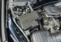 2024-2025 S650 Mustang Carbon Fiber LG668 Fuse Box Cover (2 piece)