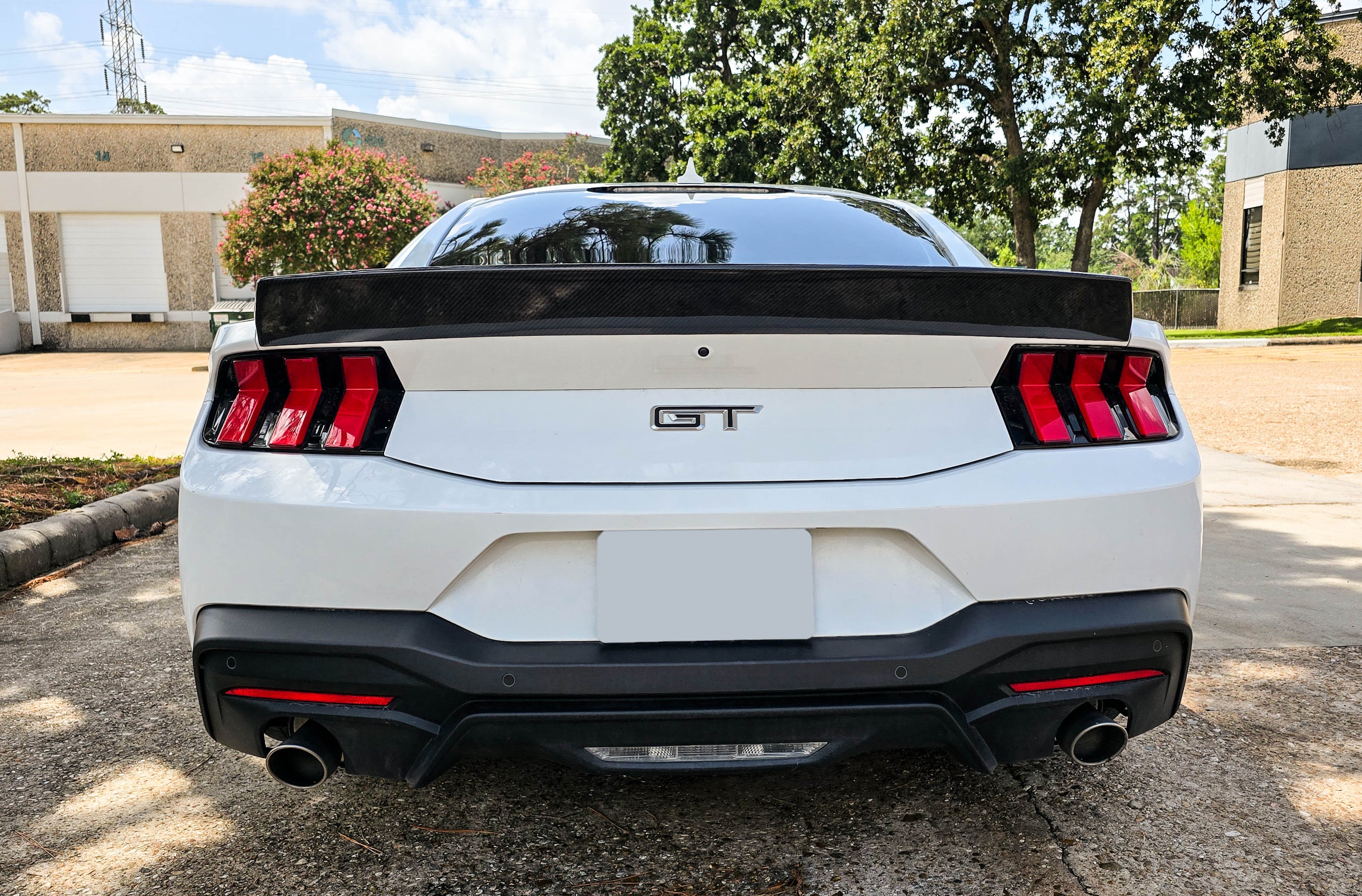 2024-2025 S650 Mustang Carbon Fiber DCA85 Spoiler