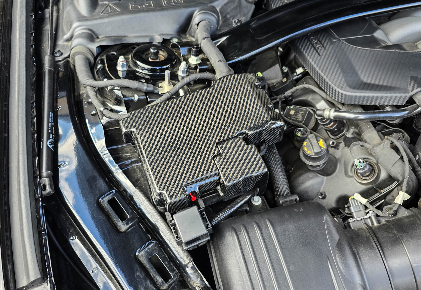 2024-2025 Mustang Carbon Fiber LG668 Fuse Box Cover