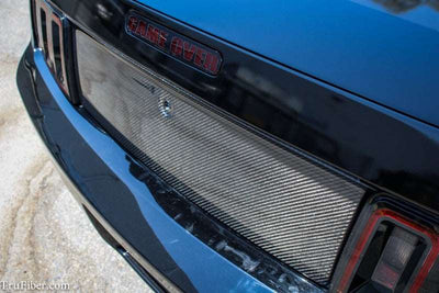 2005-2009 Mustang Carbon Fiber LG288 Blackout Panel V2