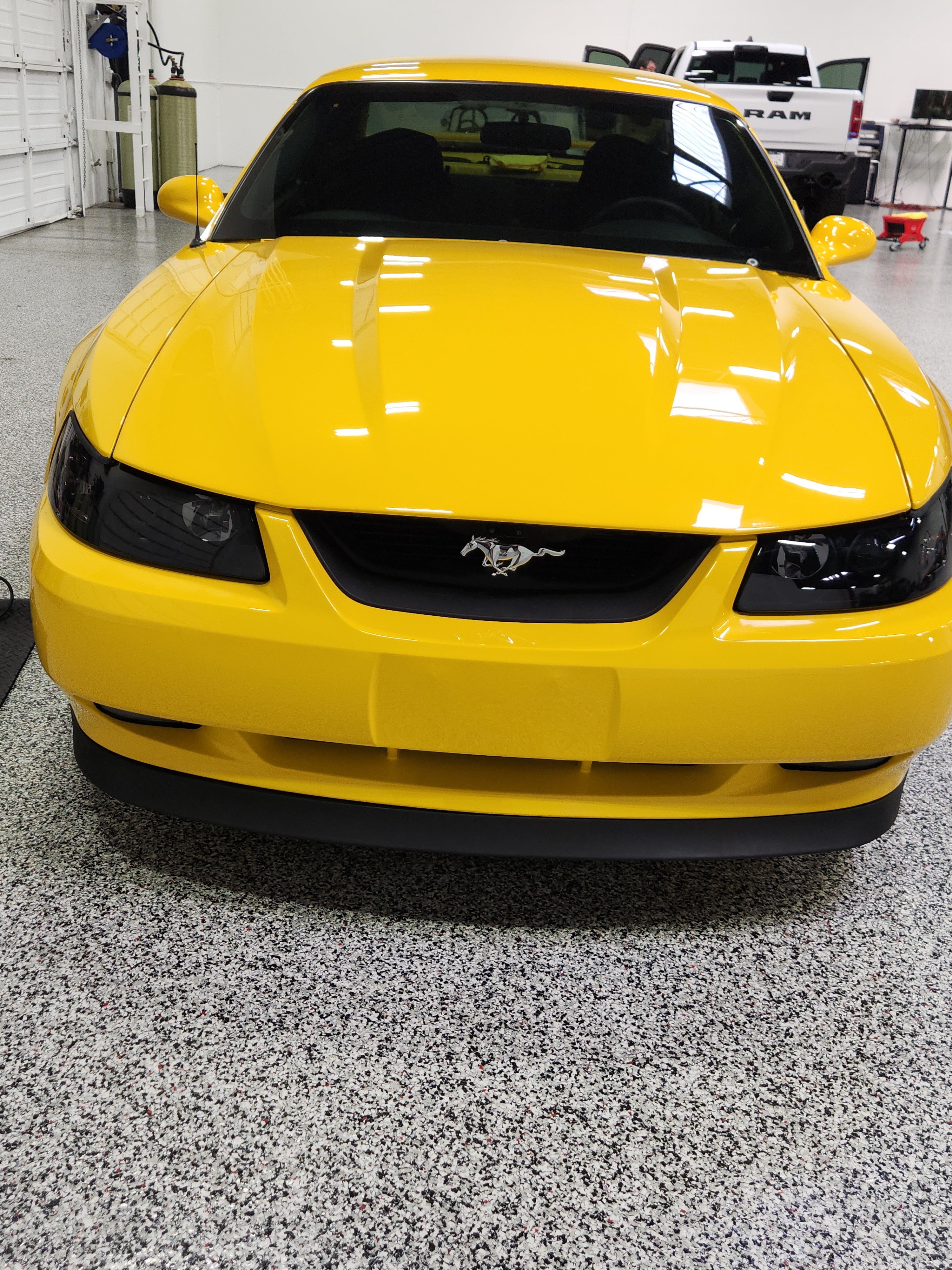 1999-2004 Mustang Fiberglass A49-2 Hood - TRUFIBER.COM