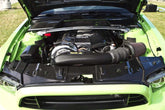2013-2014 Mustang Carbon Fiber LG137 Radiator Cover