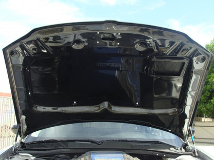 2005-2007 Magnum Carbon Fiber A23 Hood - view 3