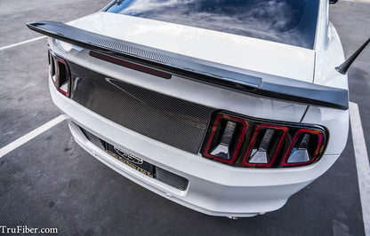 2010-2014 Mustang Carbon Fiber LG271 Blackout Panel V2 - view 2