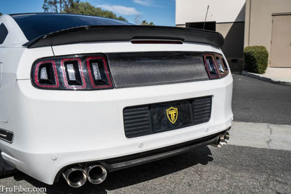 2010-2014 Mustang Carbon Fiber LG271 Blackout Panel V2 - view 3