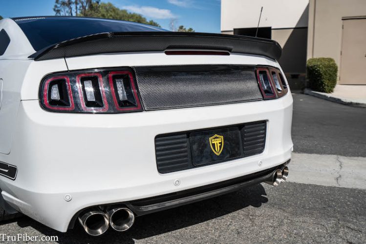 2010-2014 Mustang Carbon Fiber LG271 Blackout Panel V2 - view 3