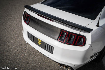 2010-2014 Mustang Carbon Fiber LG271 Blackout Panel V2 - view 4