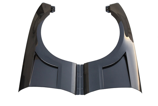 2010-2014 Mustang Carbon Fiber NX2 Fenders