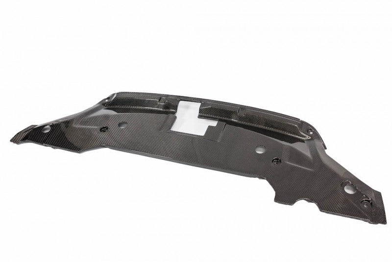 2010-2014 Mustang GT500 Carbon Fiber LG46KR Radiator Cover