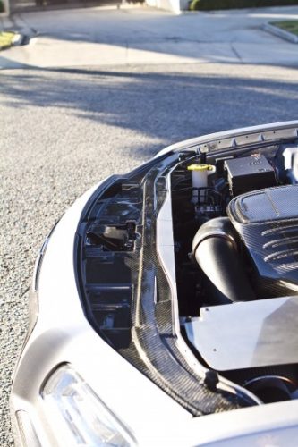 2011-2014 300 LG134 Carbon Fiber Radiator Cover - view 2