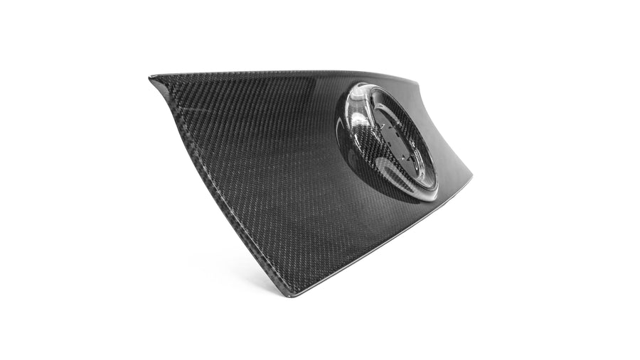 2013-2014 Mustang Carbon Fiber LG565 Blackout Panel - view 2