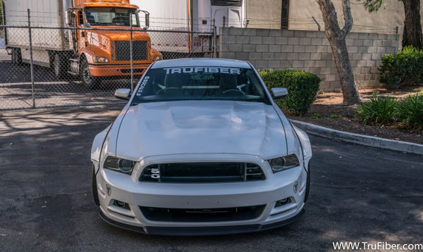 2013-2014 Mustang Fiberglass A81 Hood