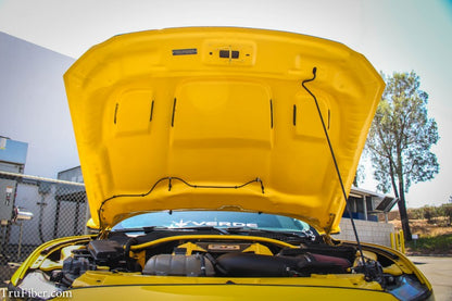 2015-2017 S550 Mustang Fiberglass A81 Hood - view 3