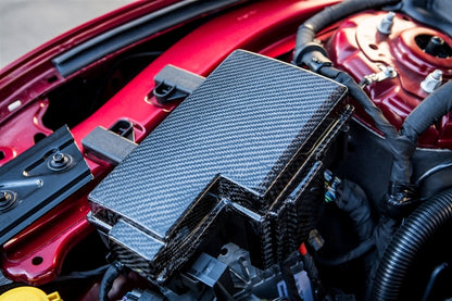 2015-2023 S550 Mustang Carbon Fiber LG241 Fuse Box Cover
