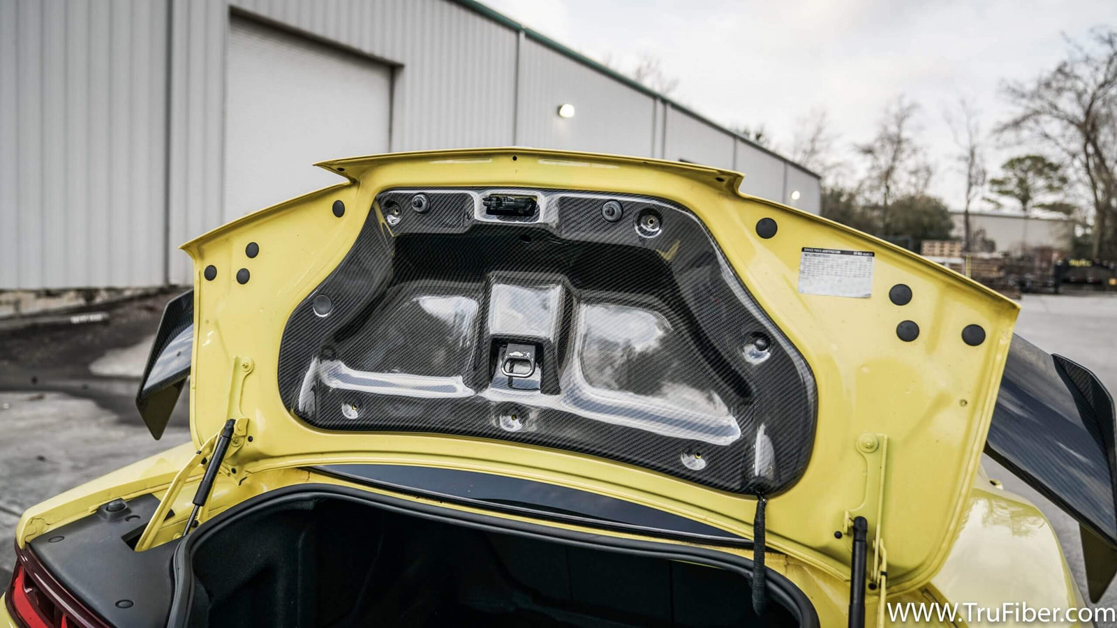 2017-2022 Camaro Carbon Fiber LG457 Trunk Liner