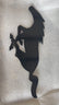 LG406 Carbon Fiber Running Horse Emblem - EXCLUSIVE vendor-unknown