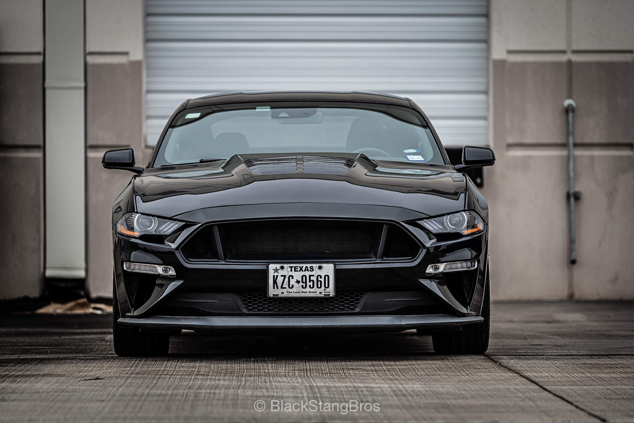 2018-2019 Mustang Carbon Fiber A86 Hood vendor-unknown
