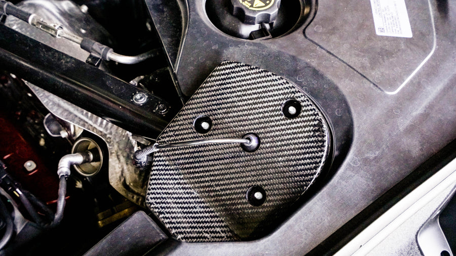 C8 Carbon Fiber LG560 Strut Tower Covers