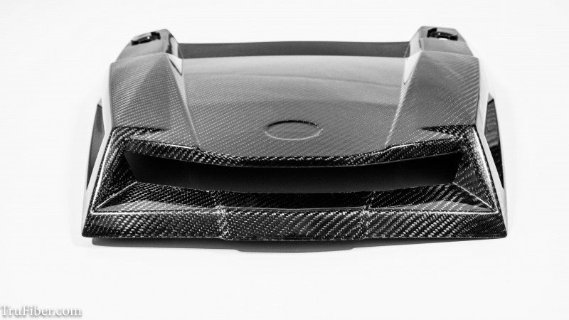 Polaris LG311 Carbon Fiber Hood vendor-unknown