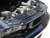 2005-2009 Mustang Carbon Fiber LG50 Radiator Cover