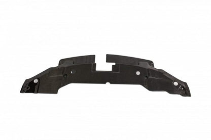 2010-2012 Mustang Carbon LG46 Fiber Radiator Cover