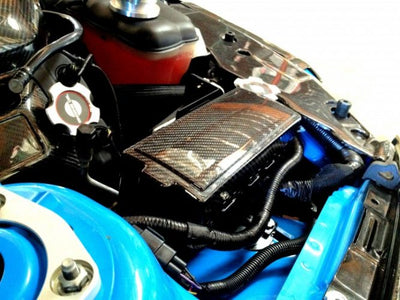 2010-2014 Mustang Carbon Fiber LG89 Fuse Box Cover