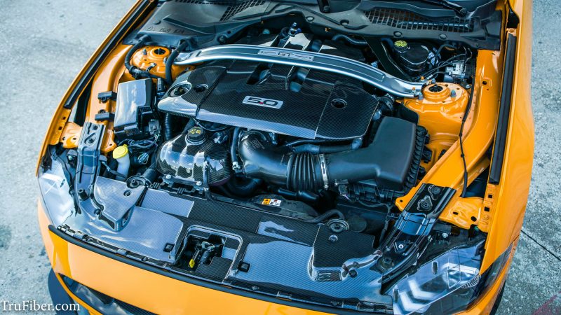 2018-2022 Mustang Carbon Fiber LG350 Engine Cover