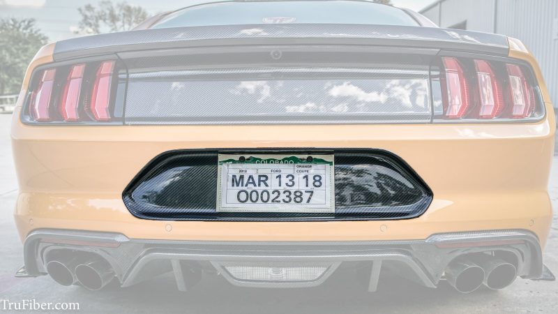 2018-2020 Mustang Carbon Fiber LG388 License Plate Surround