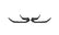 2022-2023 Mustang Shelby GT500 Carbon Fiber LG533KR Front Bumper Trims