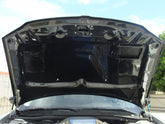 2005-2007 Magnum Carbon Fiber A23 Hood