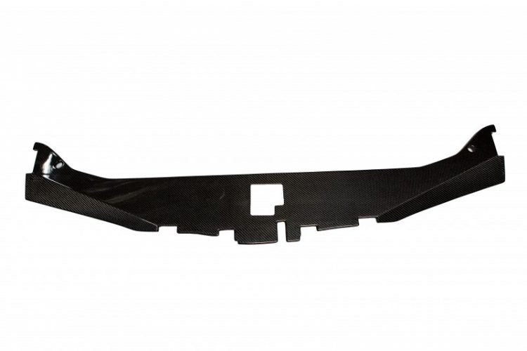 2005-2010 300 Carbon Fiber  LG94 Radiator Cover - TRUFIBER.COM