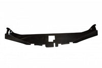 2005-2010 300 Carbon Fiber  LG94 Radiator Cover - TRUFIBER.COM