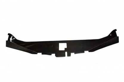 2005-2010 300 Carbon Fiber  LG94 Radiator Cover - TRUFIBER.COM
