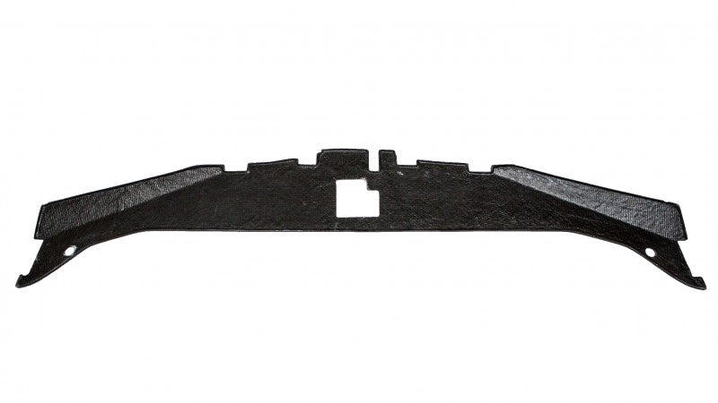 2005-2010 300 Carbon Fiber  LG94 Radiator Cover - TRUFIBER.COM