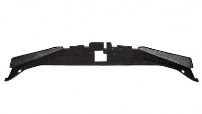 2005-2010 300 Carbon Fiber  LG94 Radiator Cover - TRUFIBER.COM