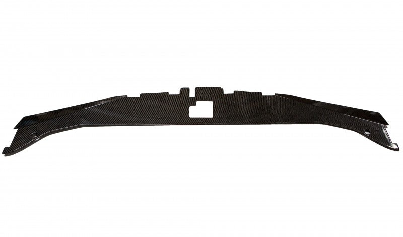 2005-2010 300 Carbon Fiber  LG94 Radiator Cover - TRUFIBER.COM