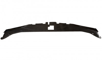 2005-2010 300 Carbon Fiber  LG94 Radiator Cover - TRUFIBER.COM