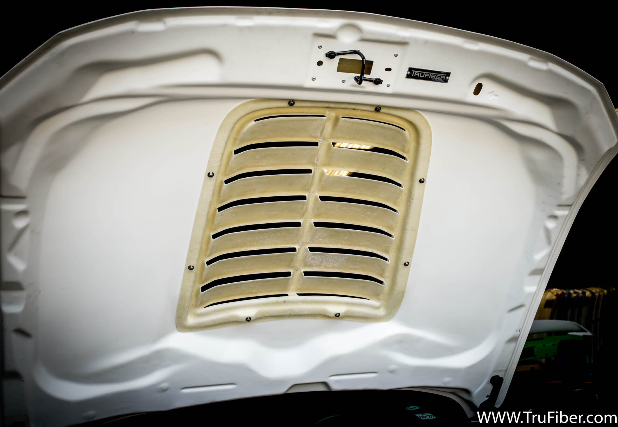 2015-2019 Mustang Carbon Fiber LG425 Rain Guard