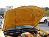 2005-2010 Charger Fiberglass A50 Ram Air Hood