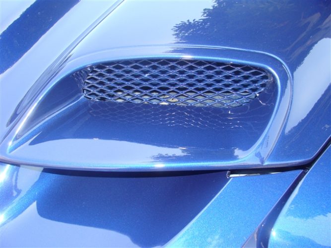 pontiac firebird ws9 ram air heat extraction fiberglass hood –
