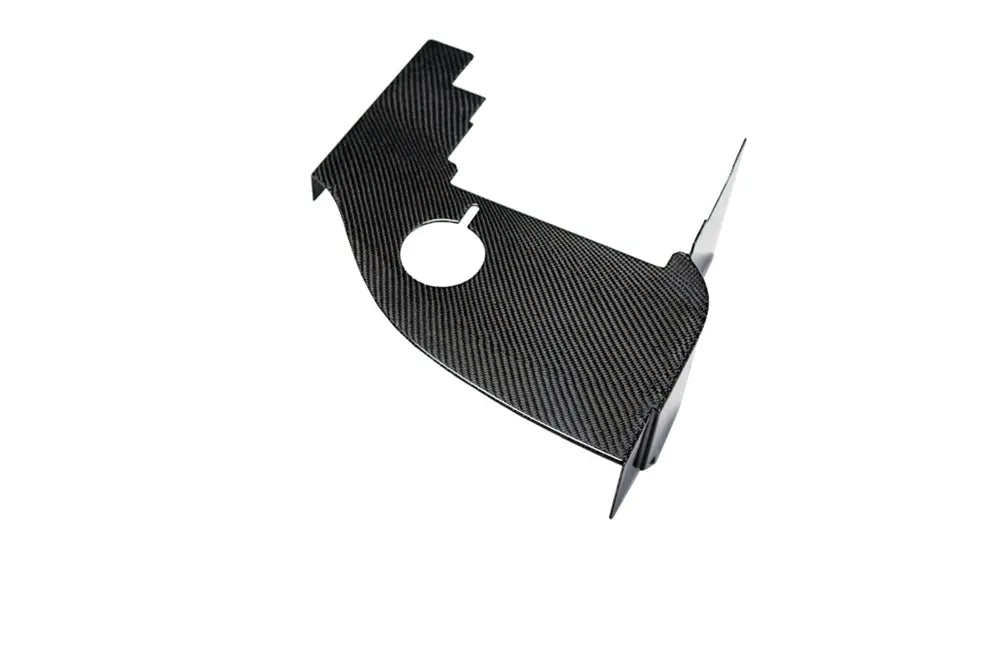 2008-2010 Charger, Magnum, 300C Carbon Fiber LG66 ABS Box Cover - TRUFIBER.COM