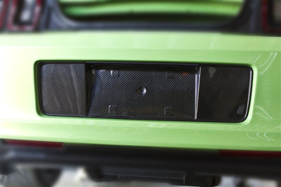 2013-2014 Mustang Carbon Fiber LG148 License Plate Surround